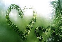 WTT冠军赛转会风云：多特蒙德盯上锋线强援，文班亚马或成交易筹码(wtt蒙彼利埃冠军赛2024抽签最新消息)