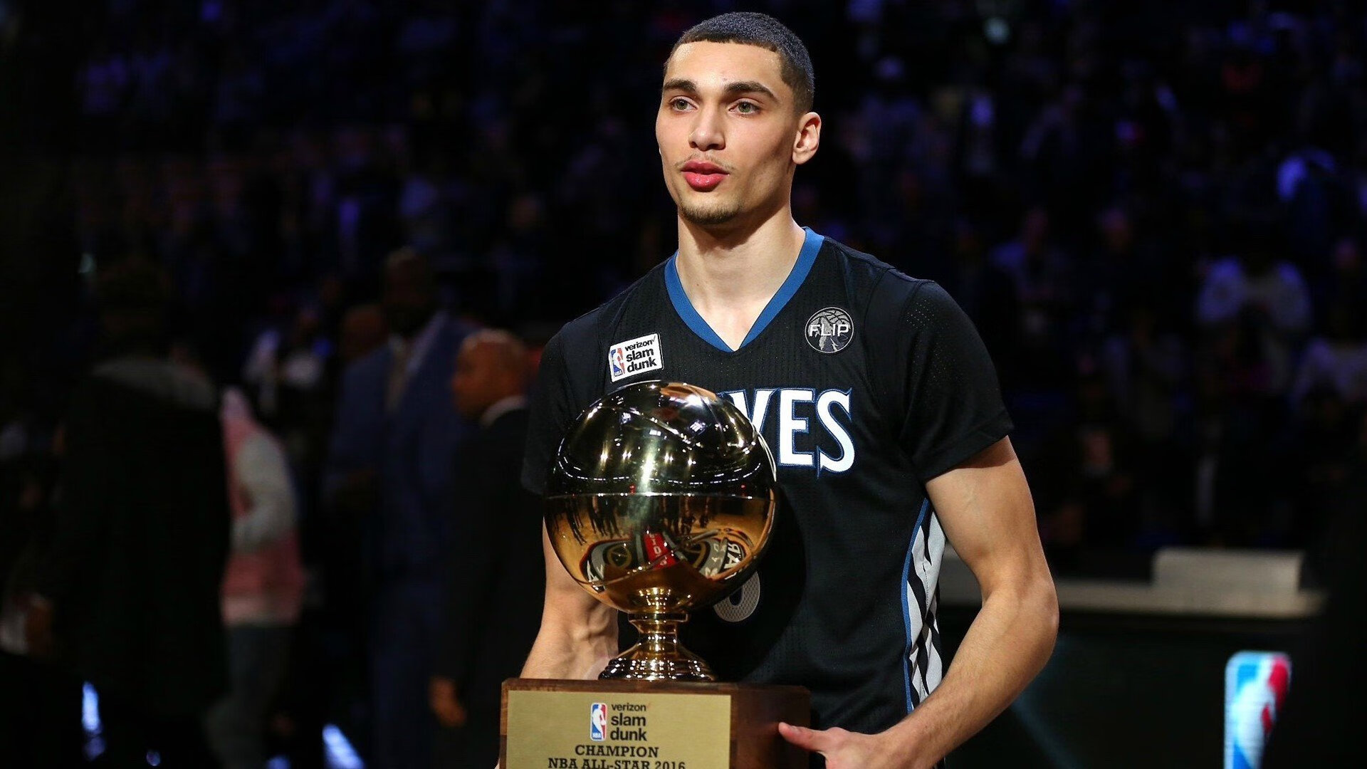  横波和纵波的波形图 